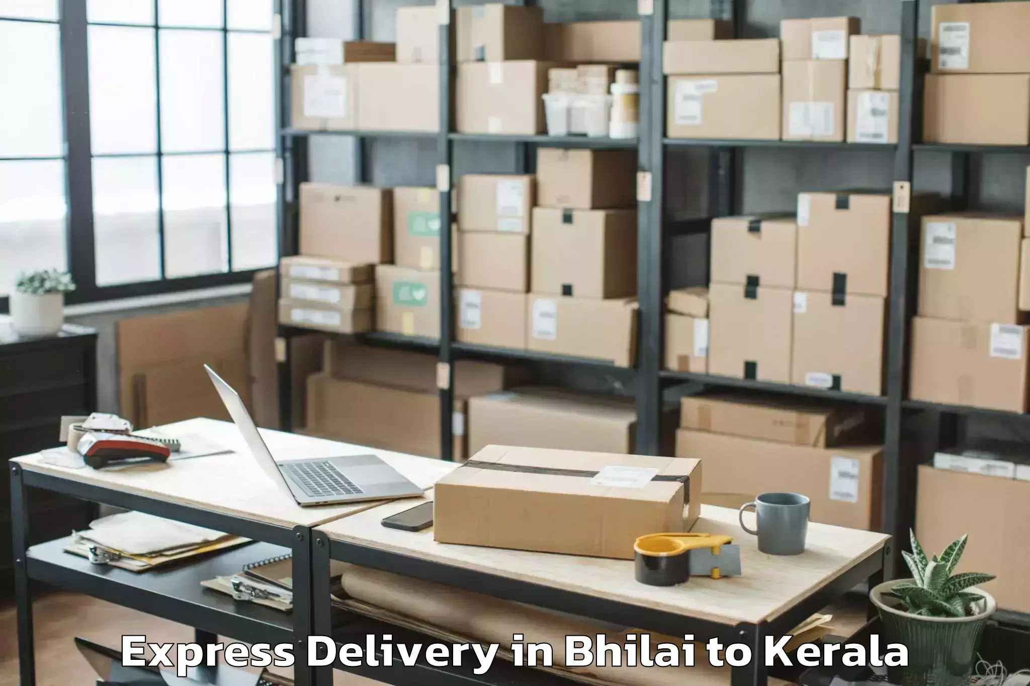 Trusted Bhilai to Periye Express Delivery